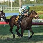 Laurel Park Racing Notebook, Vol. 4