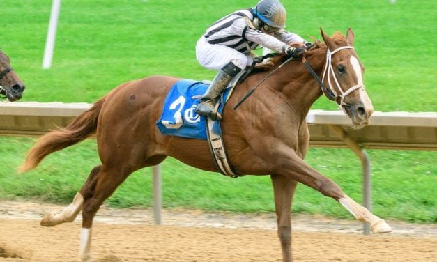 Savvy Pecoraro barn off to fast start at Delaware Park