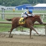 Delaware Park horses to watch: July 24