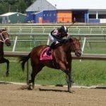 Delaware Park horses to watch: July 10