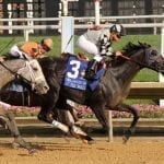 Maryland Million day in pictures
