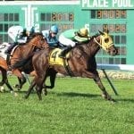 Delaware Park Racing Notebook, Vol. 17