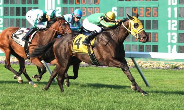 Tricky Escape storms to G3 Violet win