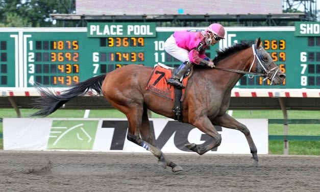 Fuzzy Muzzle takes Hesse III ‘Cap on NJ-bred day