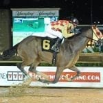 From the Spa: August 4 Midlantic-breds in Saratoga stakes