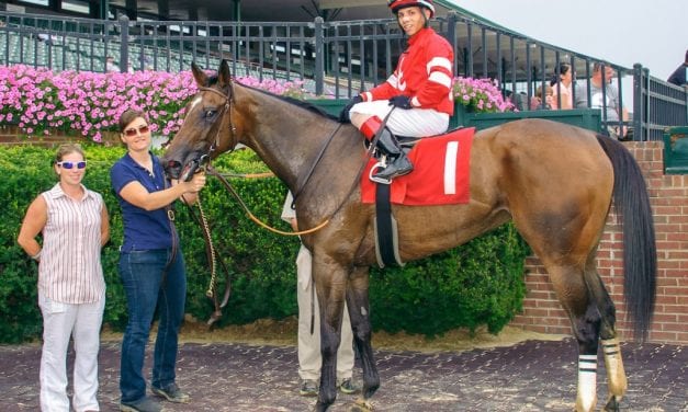 Jock-turned-trainer Erin Wilkinson hoping to learn as she goes – and grows