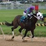 Jock-turned-trainer Erin Wilkinson hoping to learn as she goes – and grows