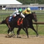 “They do all the work”: Maryland Pride jocks credit trainers