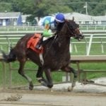 Virginia-bred stakes top Laurel Friday card