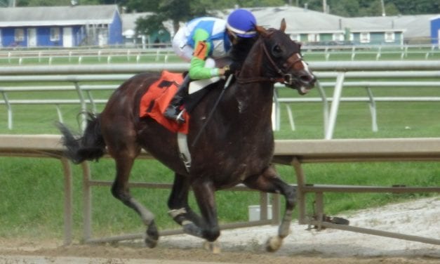 Divining Rod to stand at Maryland’s Country Life Farm