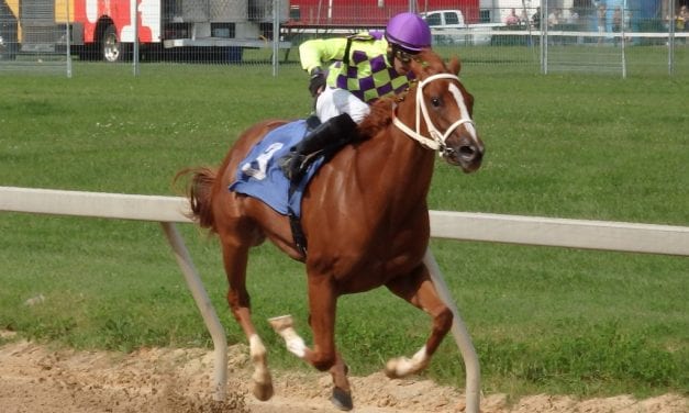 At Timonium, many happy returns