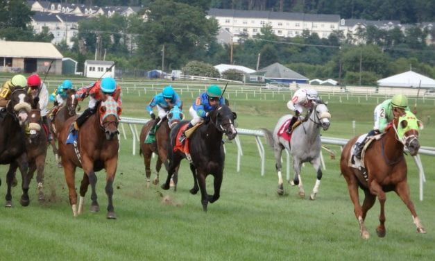 Laurel Park summer handle jumps by a quarter