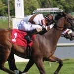 From the Spa: August 6 Midlantic-breds in Saratoga stakes