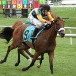 From the Spa: August 12 Midlantic-breds in Saratoga stakes