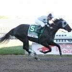 McKinzie installed as slight Pennsylvania Derby favorite