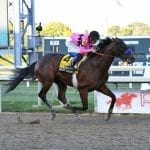 It Tiz Well posts mild upset in Cotillion