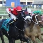 Laurel Park to race Mondays in the fall