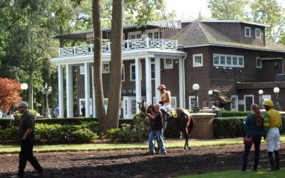 Delaware: Popular stakes wins for Copper Tax, Ringy Dingy