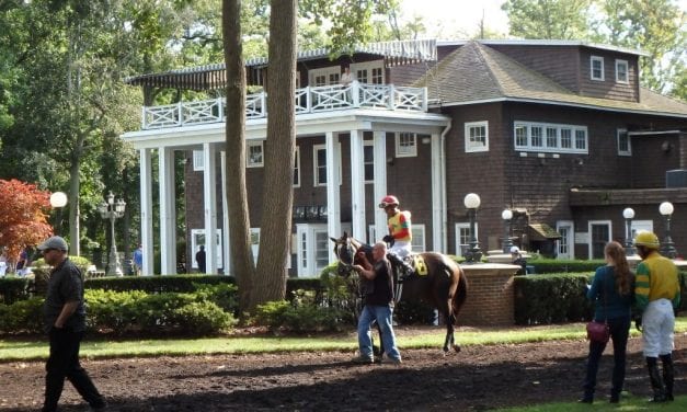 Delaware Park seeks to contain strangles case