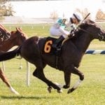 Delaware Park horses to watch: September 25