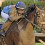 Pimlico MATCH Series races draw 130 nominations