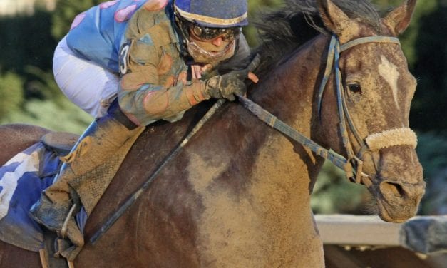 Veterans Casey, Greenway Court enjoy big Race for the Ribbon day