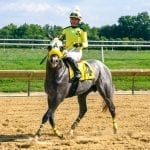 New and improved It’s the Journey, Line of Best Fit seize Laurel stakes