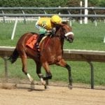 Last look: Timonium 2017 photo gallery