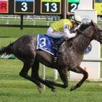 “Good jocks in the room”: Local riders sweep Laurel stakes