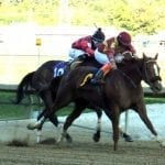 Limited View: “Putting it all together,” cruises in Marshua Stakes