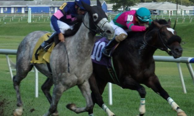 Laurel Park Racing Notebook, Fall Meet Vol. 1