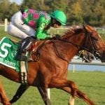 Star is born? Canessar sweeps to Laurel Turf Cup win