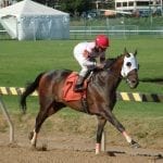 Delaware Park horses to watch: September 4