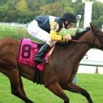 Motion gunning for ninth Dick Memorial triumph