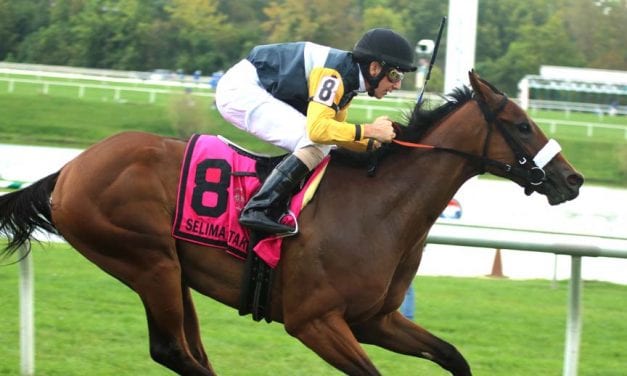 Laurel Park card spiced by SC residency races