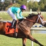Hopes high for expanded Fasig-Tipton yearling sale