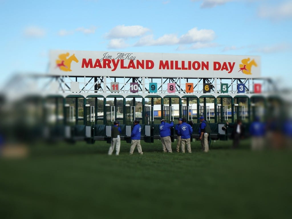 23948124868_5026fa442c_k Maryland Million