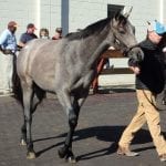 Mid-Atlantic racing roundup, August 27