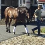 Delaware Park horses to watch: October 14