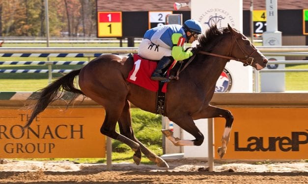 Vouch, Prince Lucky lodge impressive wins at Laurel