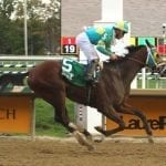 Maryland Million: Trombetta hoping to have lucky seven