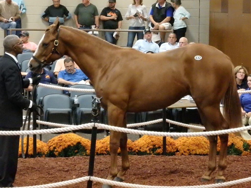 Fasig-Tipton