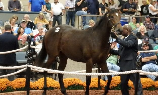 Region-bred yearlings power first day of Fasig-Tipton sale