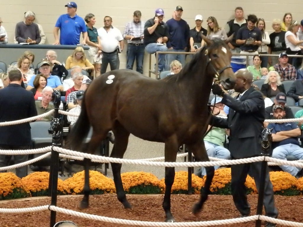 Fasig-Tipton