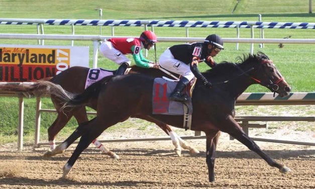 Limited View heads Md. Juvenile Filly Championship field