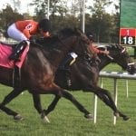 Md. Million: Juarez completes hat trick as Bonus Points surges to victory