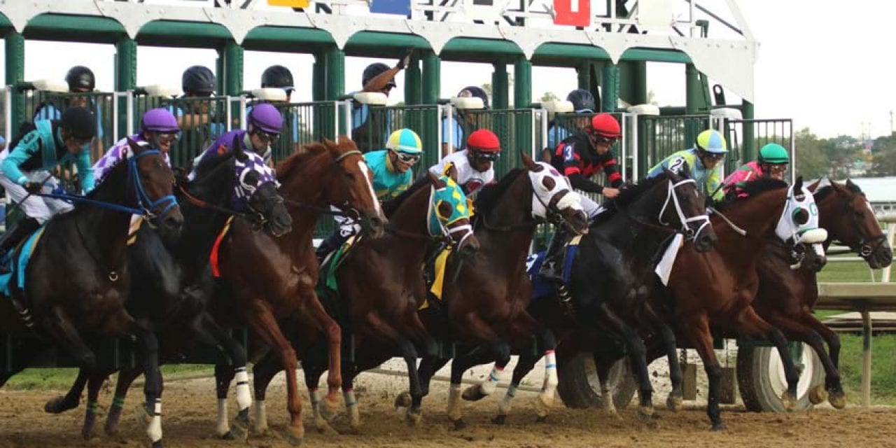 Maryland Million