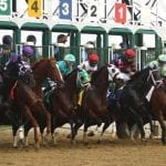 Chalon takes rainy Incredible Revenge Stakes