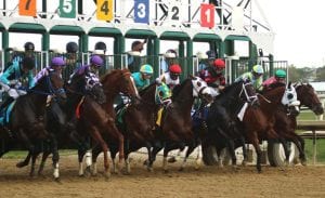 Maryland Million