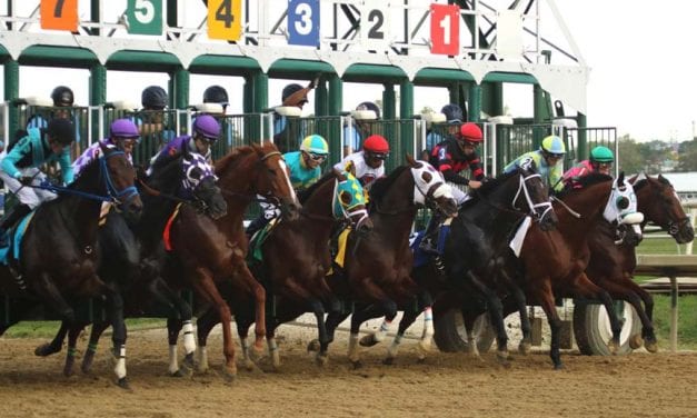 Laurel Park: Fall meet facts and figures